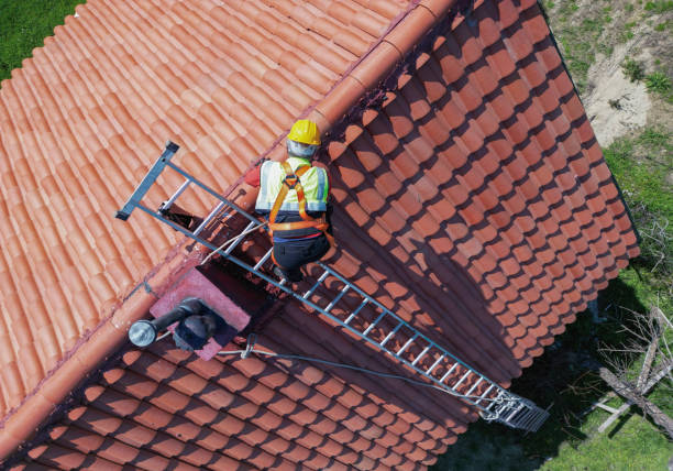 Best Roof Ventilation Installation  in Chaparral, NM